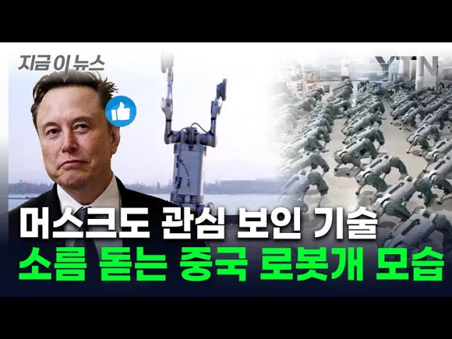 속도에 맷집까지 갖춘 '비밀병기'...中 로봇개, 머스크도 관심 [지금이뉴스]