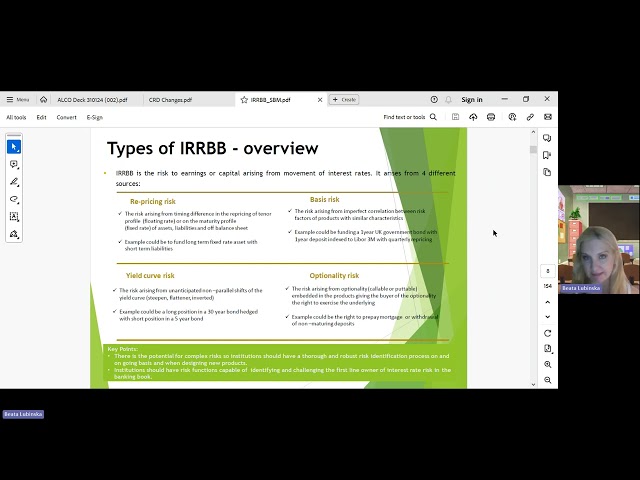 IRRBB behavioural versus automatic options, IRRBB subcategories