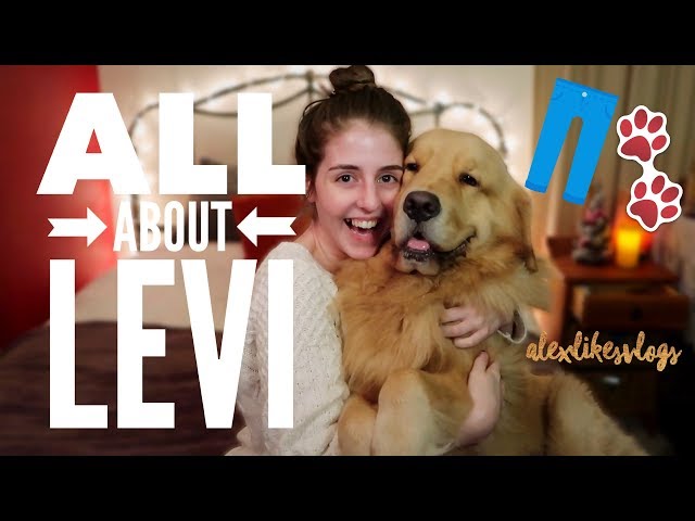 how I chose my service dog (aka ALL ABOUT LEVI pt. I) VLOGMAS #12 alexlikesvlogs