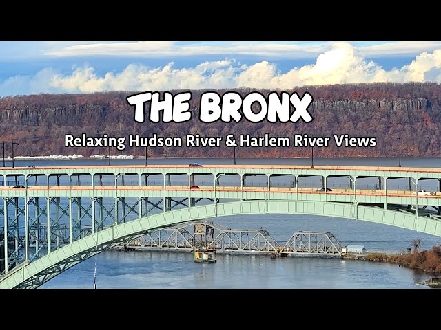 🔴NYC LIVE CAM🚆Amtrak Trains, Hudson River & Harlem River Views