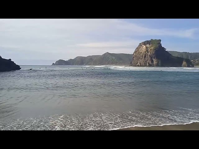 playa piha, New Zealand. Piha beach