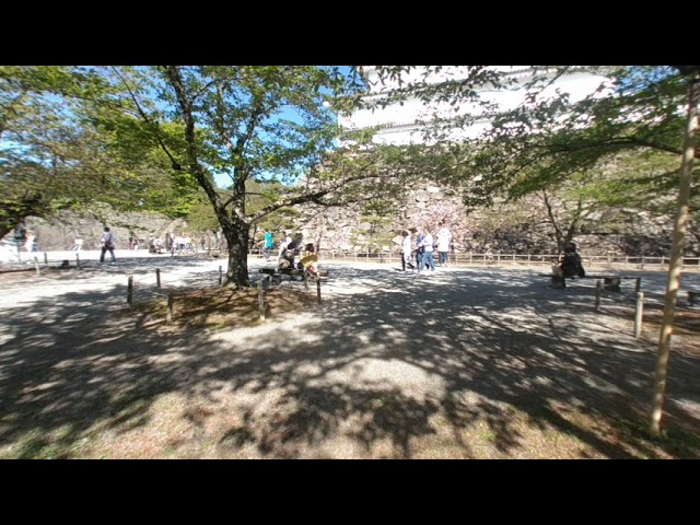 【180° 3D VR】(Virtual Travel Series) Tsurugajo Castle in Samurai City Aizuwakamatsu（鶴ヶ城）