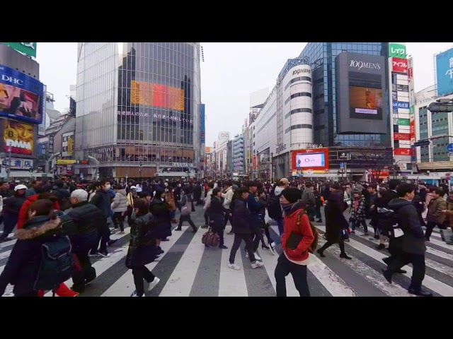 Welcome to Tokyo! Visit the Busiest Intersection in the World - VR 180 3D Experience