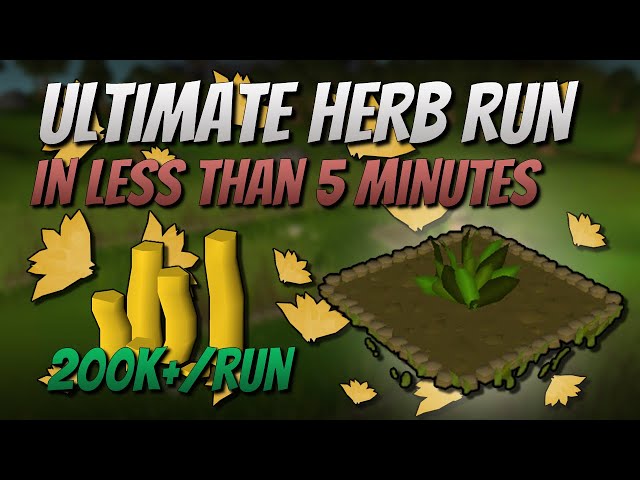 Ultimate Herb Run Guide [200K+ GP/Run]