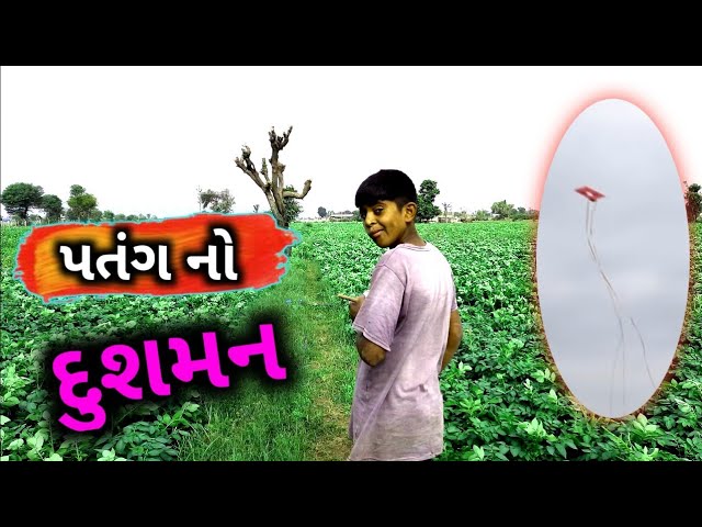 પતંગ નો દુશમન 🤣🤣પતંગ ની ઓકાદ કરતા વધુ લાંબી પૂંછડી ||long tale kite||#trending