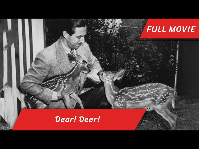 Dear! Deer! | English Full Movie | Short Comedy