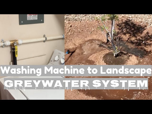 Washing Machine to Landscape Grey Water System