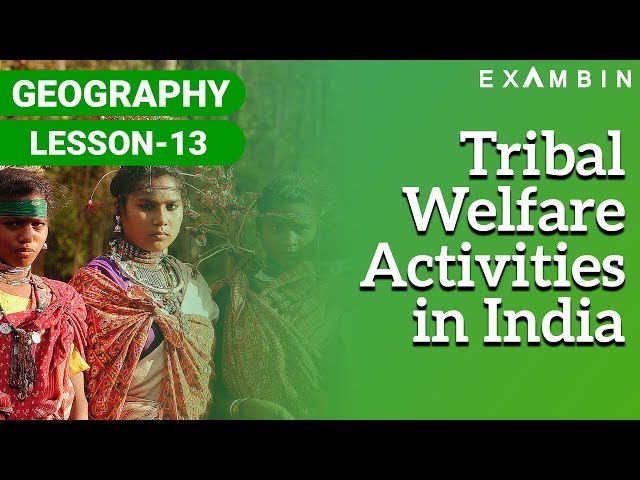 Tribal Welfare Activities in India - Constitutional Safeguards - Economic Programs and Facilities