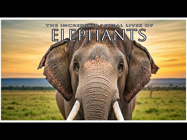 The Incredible Social Lives of Elephants: Family Bonds and Wisdom