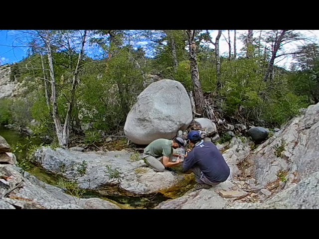 Trout Fishing Southern California: 360 Video Virtual Reality