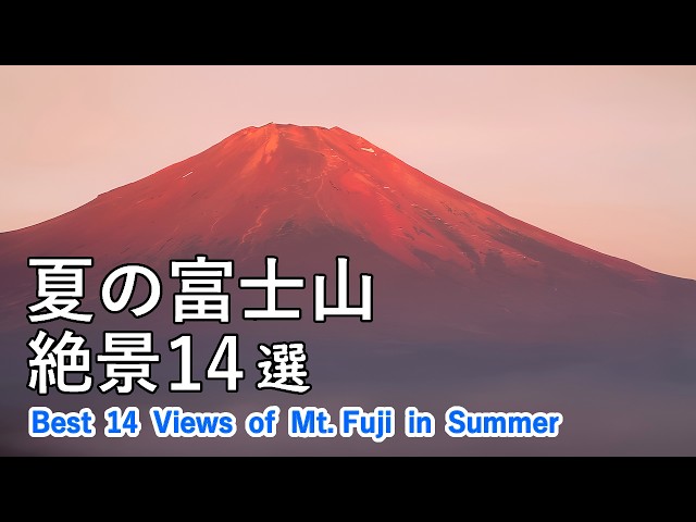 Best 14 superb views of Mt. Fuji in summer [ 4K ]