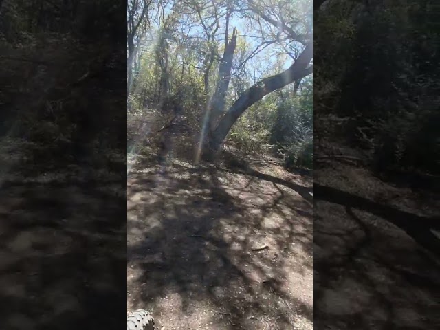 Small section of hills at Gateway park