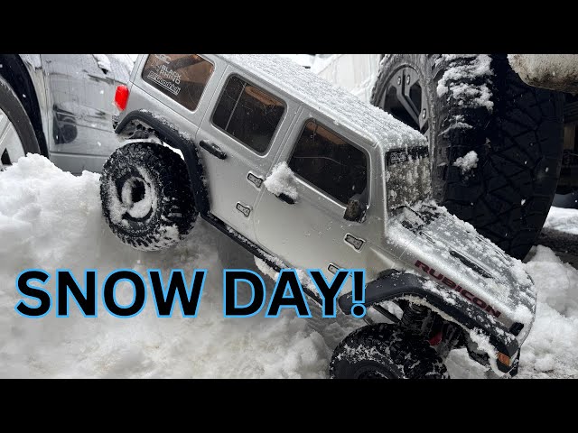 SNOW DAY: TIME TO GET THE BASHERS OUT! We don't usually get this much SNOW!