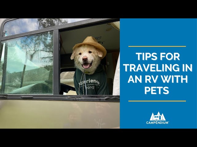 Tips for Traveling in an RV With Pets