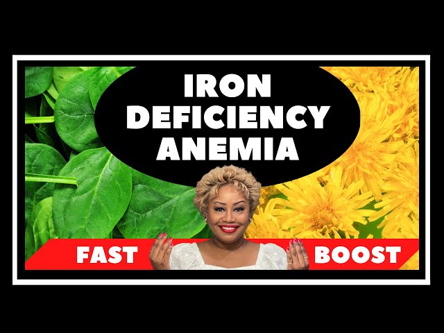 How to Increase Your Iron Levels Fast