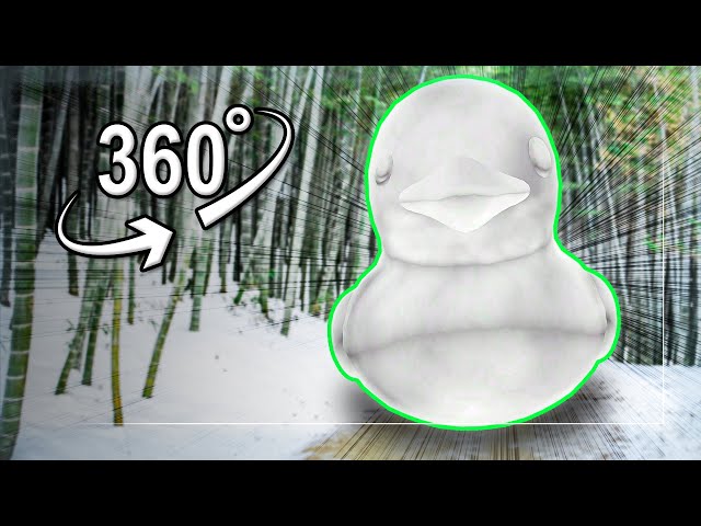 run away from a big snow duck | VR 360°