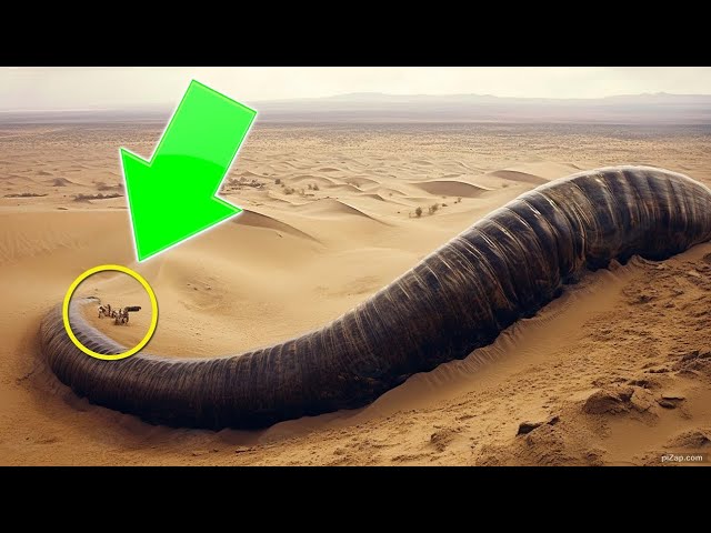 HOW IS THIS POSSIBLE? Top 3 Scary Unexplained Finds in the Desert #facts #desert