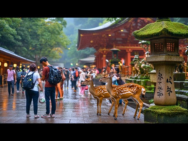 Nara Japan Walking Tour | Peaceful Streets, Shrines & Friendly Deer in 4K HDR