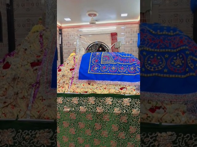 😍Mira Datar Dargah Sharif🥰new status💕 qawwali#explore#ytshorts#trending#reels#shorts#dargah#love#fyp