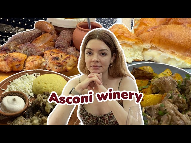 Is this the best WINERY FOOD in Moldova? 🍗