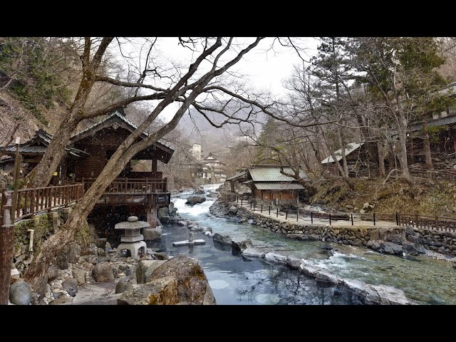 Tokyo to Takaragawa Onsen by Shinkansen