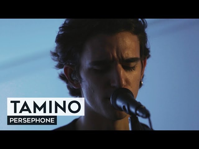 THE TUNNEL: Tamino - Persephone (live)