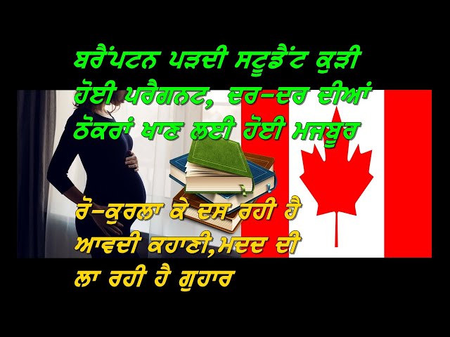 12. BRAMPTON ਪੜ੍ਹਦੀ ਪੰਜਾਬਣ STUDENT ਹੋਈ PREGNANT ,ਰੋ-ਰੋ ਕੇ ਦਸ ਰਹੀ ਹੈ ਹੱਡ-ਬੀਤੀ | JOGINDER BASSI |