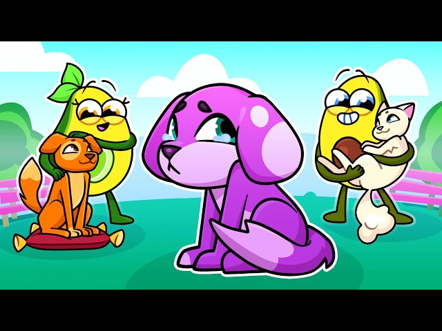 🔴 Forgotten Pet | Kids Funny Cartoon Stories by Avocado Couple || Avocado Couple Live