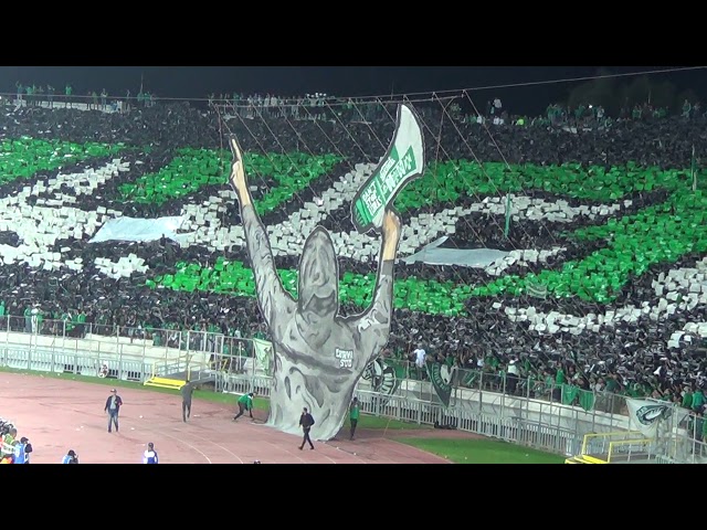 Tifo Curva Sud Casablanca  - روعة تيفو جمهور الرجاء المغربي في مباراة تي بي مازيمبي الكونغولي