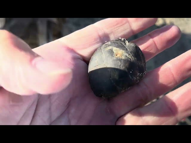 Metal detecting on California Beach I found rings