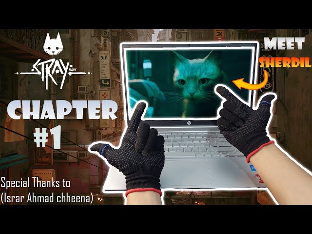 Stray Gameplay PC Walkthrough (Chapter 1) | A New Cat Adventure | Meet My New Pet SherDil