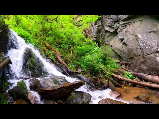 Relaxing Waterfall Sounds for Sleep - Fall Asleep & Stay Sleeping with Water White Noise ( NO MUSIC)