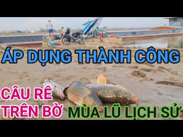 ẤP DỤNG CÂU RÊ ĐÁY VÀO MÙA LŨ LỊCH SỬ 2024#caucasong#fishing