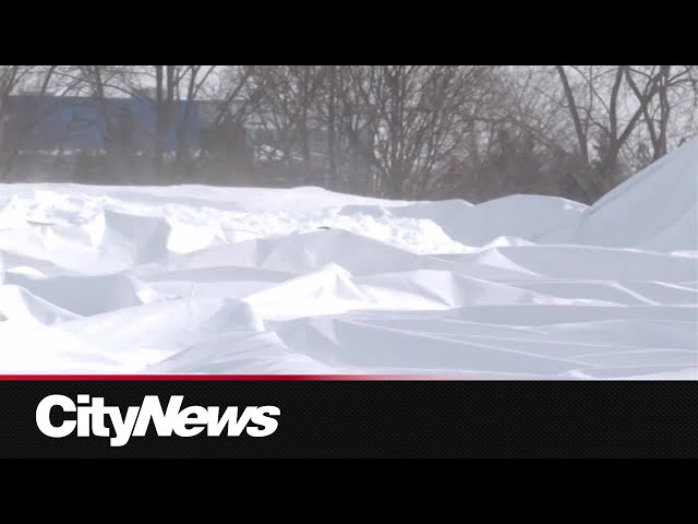 Stinger Dome at Concordia's Loyola Campus collapses from snowfall