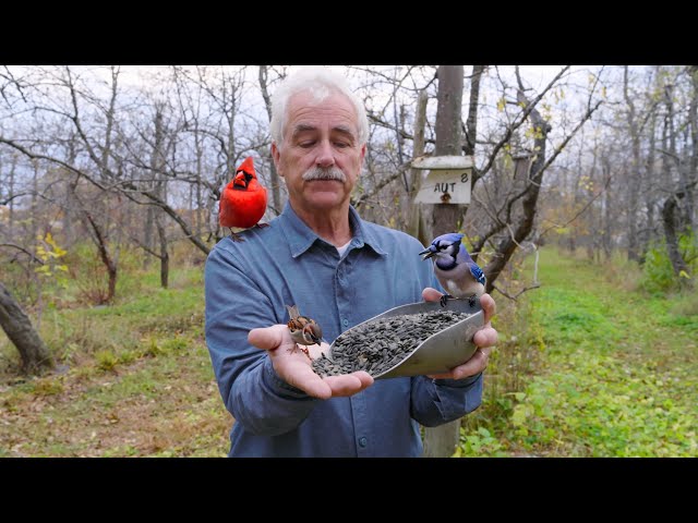 Feed Birds, Help Your Garden: Win - Win