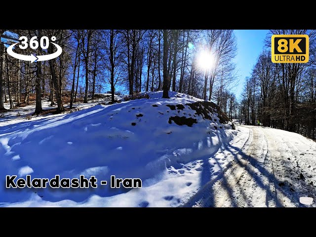 Explore the Secrets of Kot Kiyan's Snowy Forests 🌲❄️ | A 360° Winter Walk