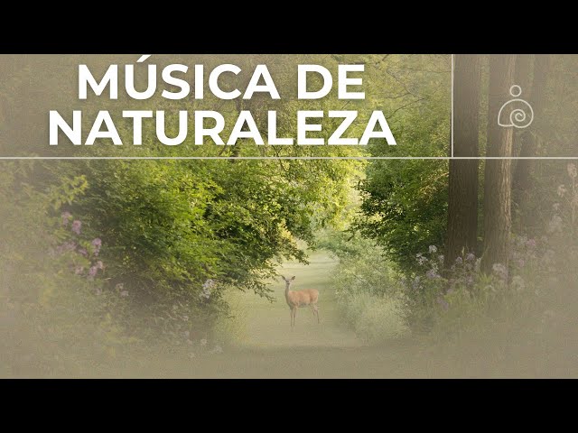 🌿Música De Naturaleza Instrumental 2024 / Libera El Estrés Y la Ansiedad /🌿