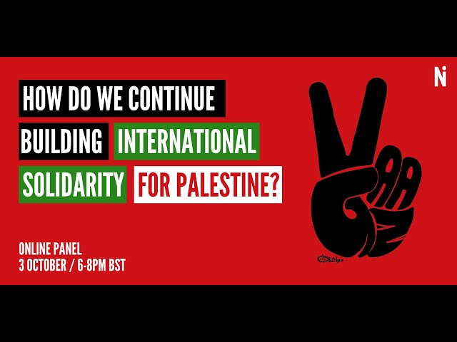 How do we continue building international solidarity for Palestine?