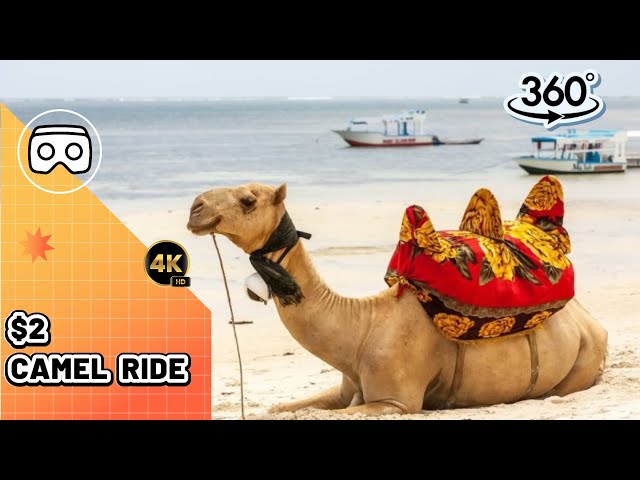 $2 Camel Ride?! UNBELIEVABLE Adventure in Qeshm Island, Iran (360° VR) #camel #travel #qeshm