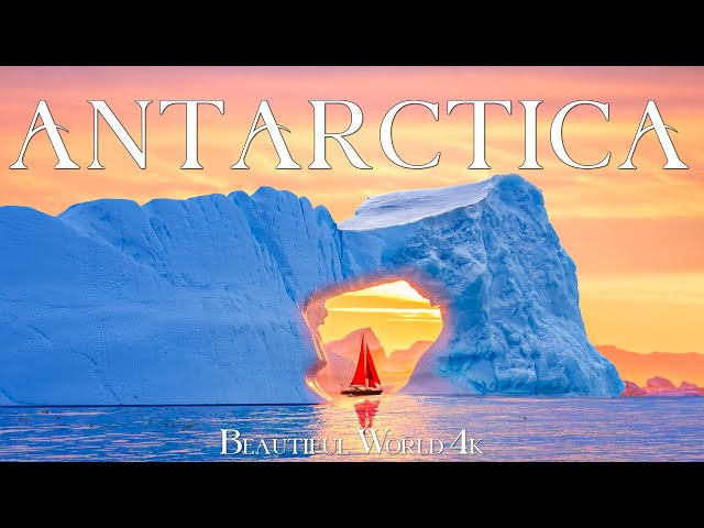 Antarctica 4K - Frozen Wilderness and Breathtaking Icy Landscapes - 4K UHD