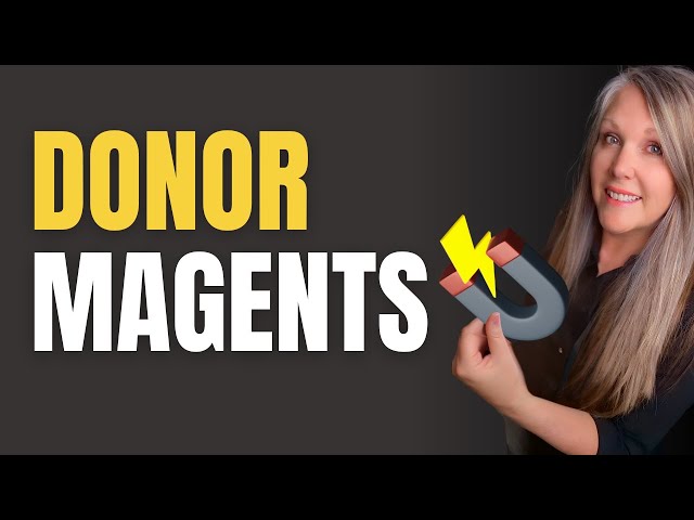 Nonprofit Lead Magnets: A Game Changing Nonprofit Marketing Strategy