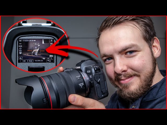 View Finder Settings For Canon Mirrorless Camera EOS R