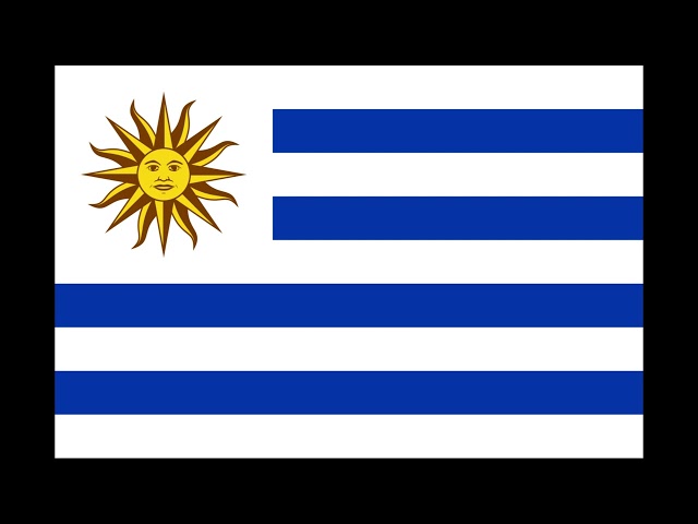 Uruguay Flag 1 Hour