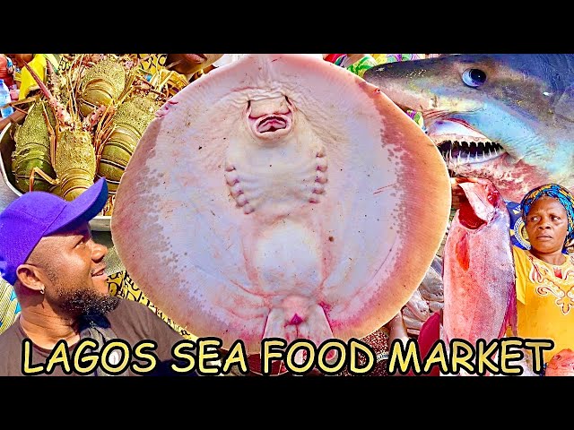 Finding Amazing Sea Food in Lagos | Makoko Fish Market