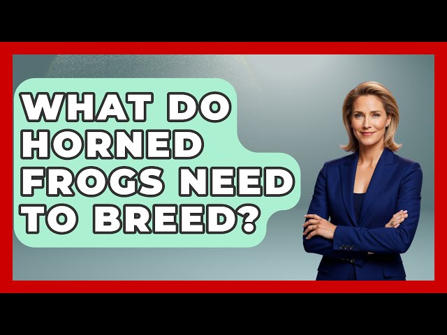 What Do Horned Frogs Need To Breed? - Reptilian Wonders