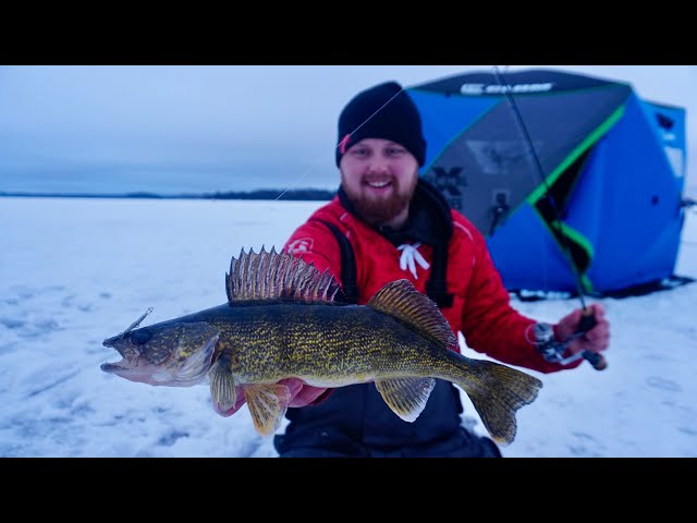 Jigging Up WALLEYES in Northern WI! (NON-STOP ACTION)