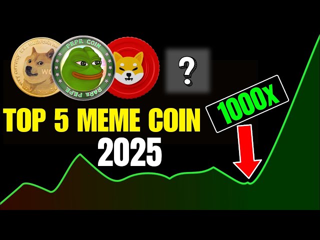 Top 5 Meme Coins to Invest in 2025 || 1000x Potential Meme Coin ||