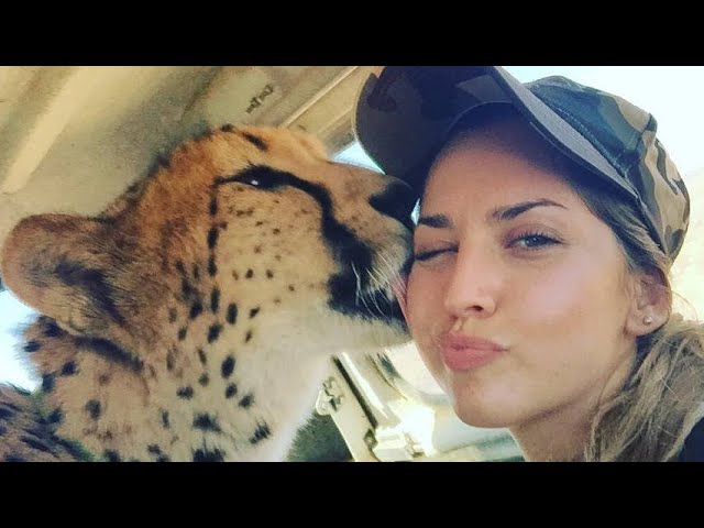 Living With Cheetahs - Cheetah Girl Lisa Kytösaho