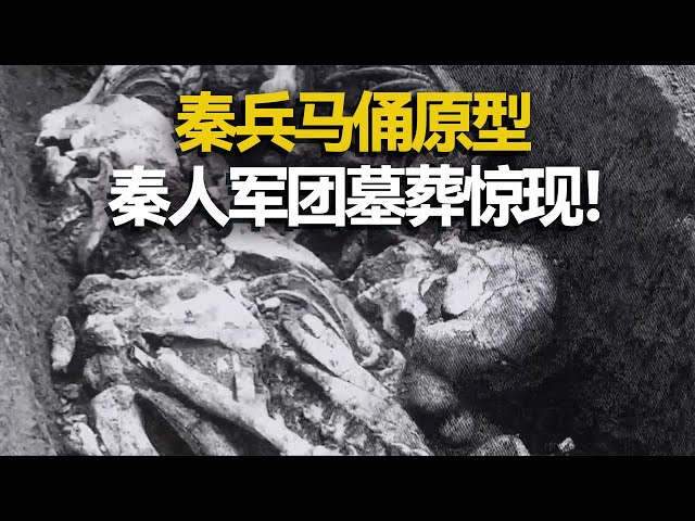 秦兵马俑的原型 秦人军团墓葬出现！令人闻风丧胆的秦军为何墓葬如此寒酸？——考古精选·沉睡的秦人军团（上）丨 中华国宝