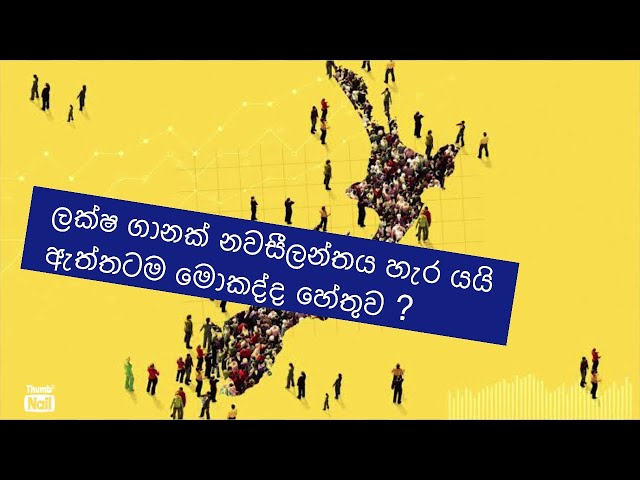 ලක්ශ ගානක් නවසීලන්තය හැර යන හේතුව. New Zealand net migration information sinhala vlog.